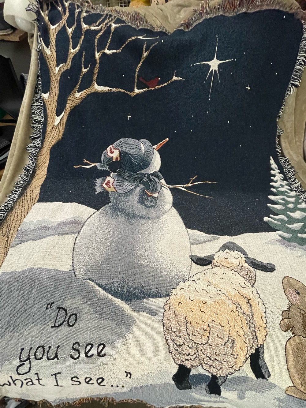 Christmas “Do You See What I See" 50" X 60” Tapestry Throw